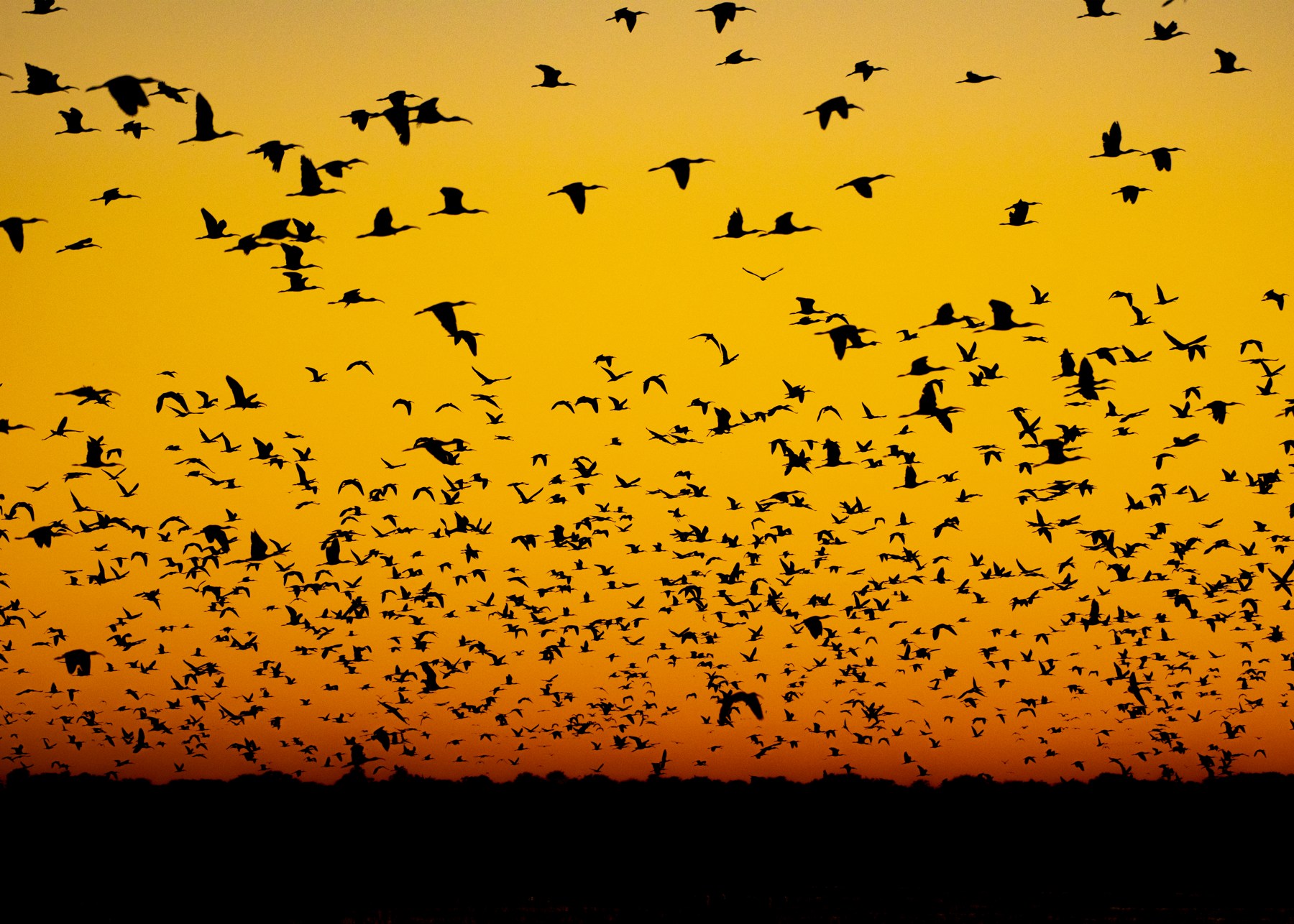 Argentina wetlands formosa