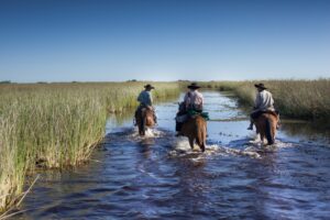 Argentina-horse-riding-ibera-wetlands