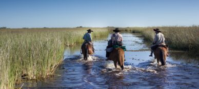 Argentina-horse-riding-ibera-wetlands