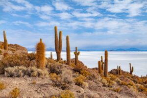 Bolivia-Uyuni-salt