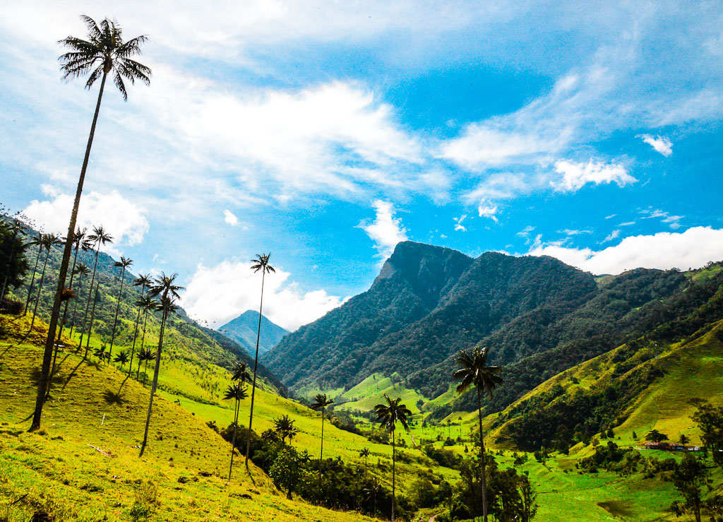 Colombia coffee region