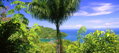 Costa Rica Osa Peninsula