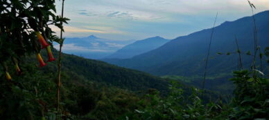 Ecuador-Cloud-forest-Yunguilla