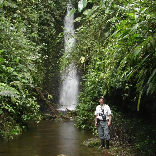 Ecuador forest