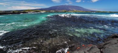 galapagos islands