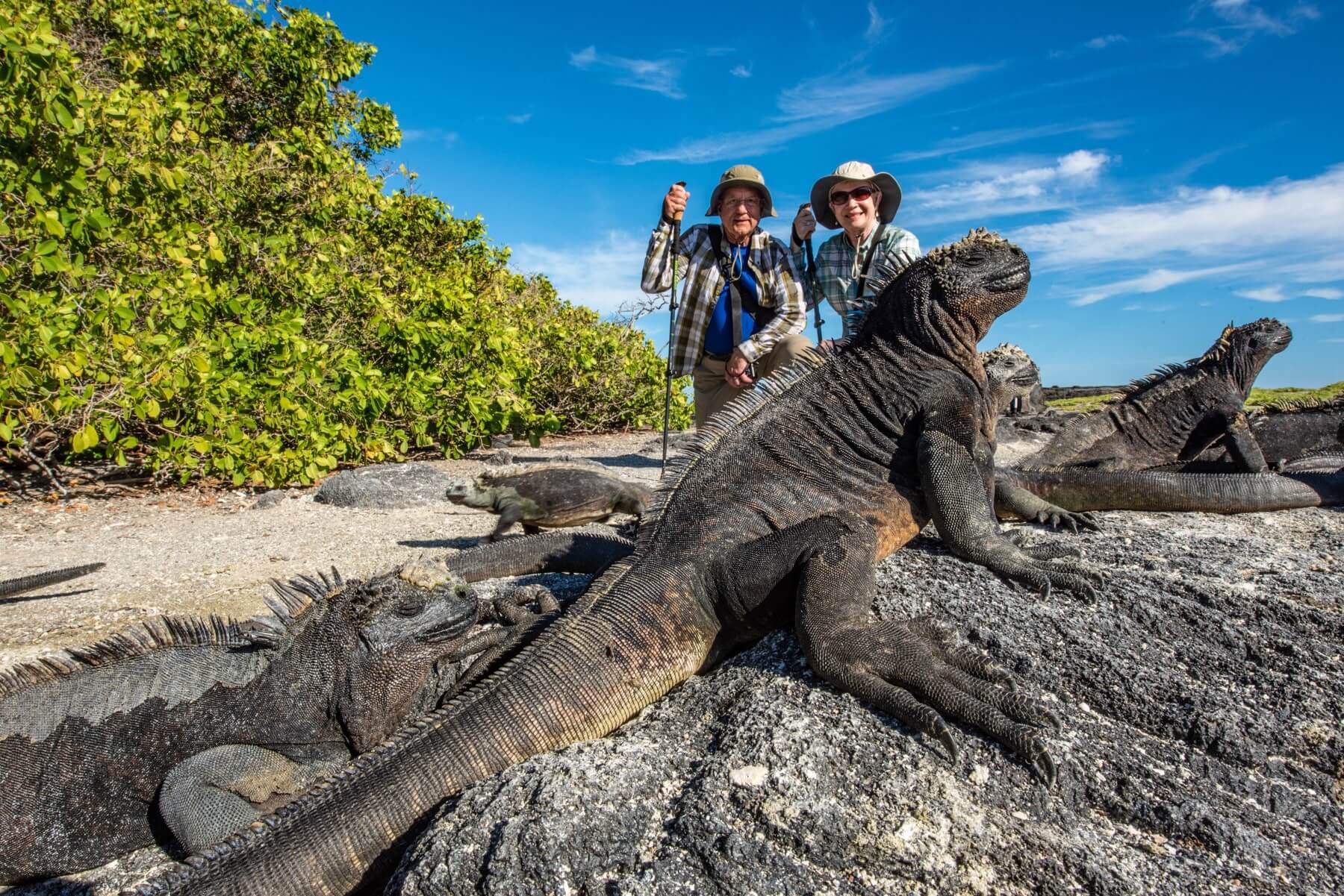 Galapagos Fernandina Punta Espinosa