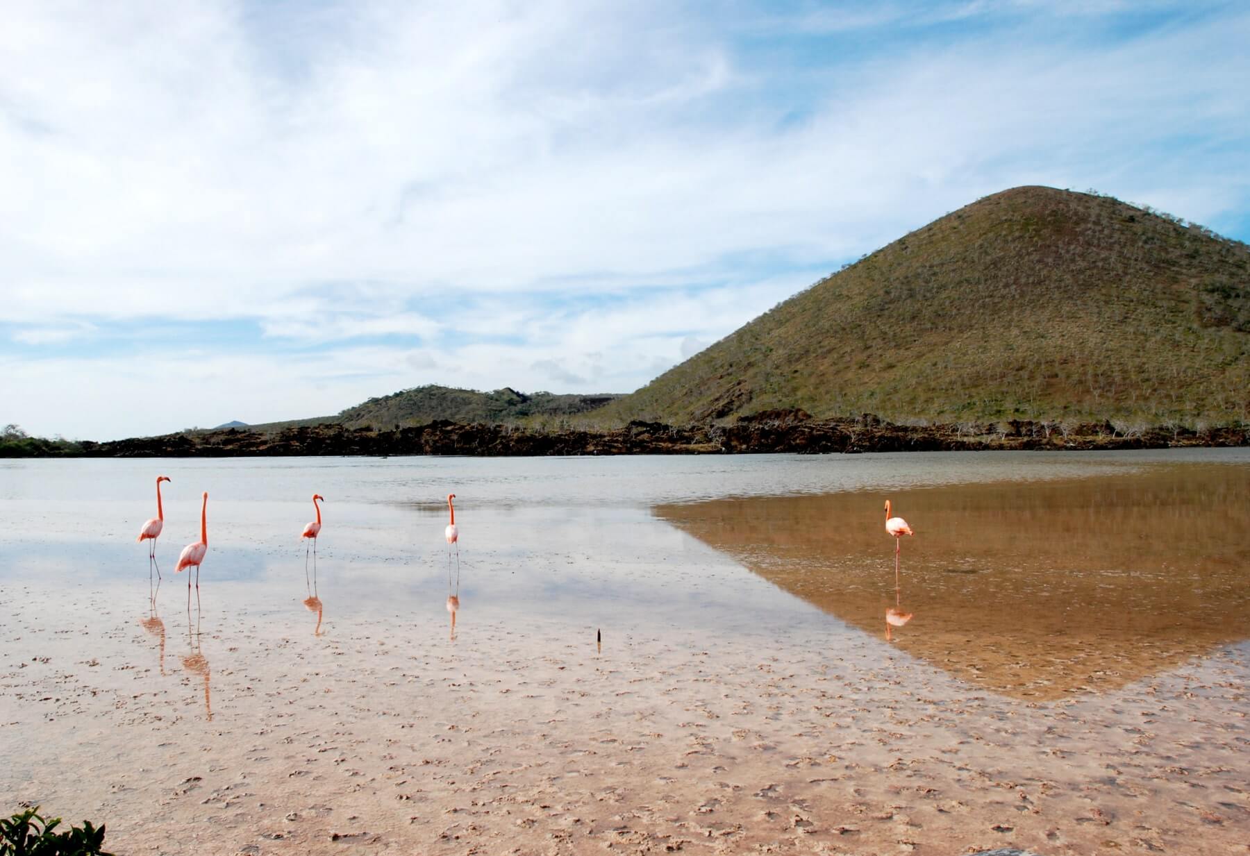 Galapagos-Floreana-landscape