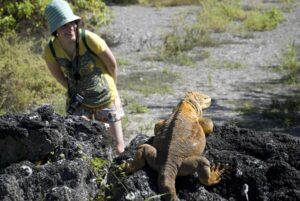 Galapagos-Isabela-land-iguana-upclose