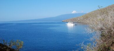 Galapagos-Tagus-Cove