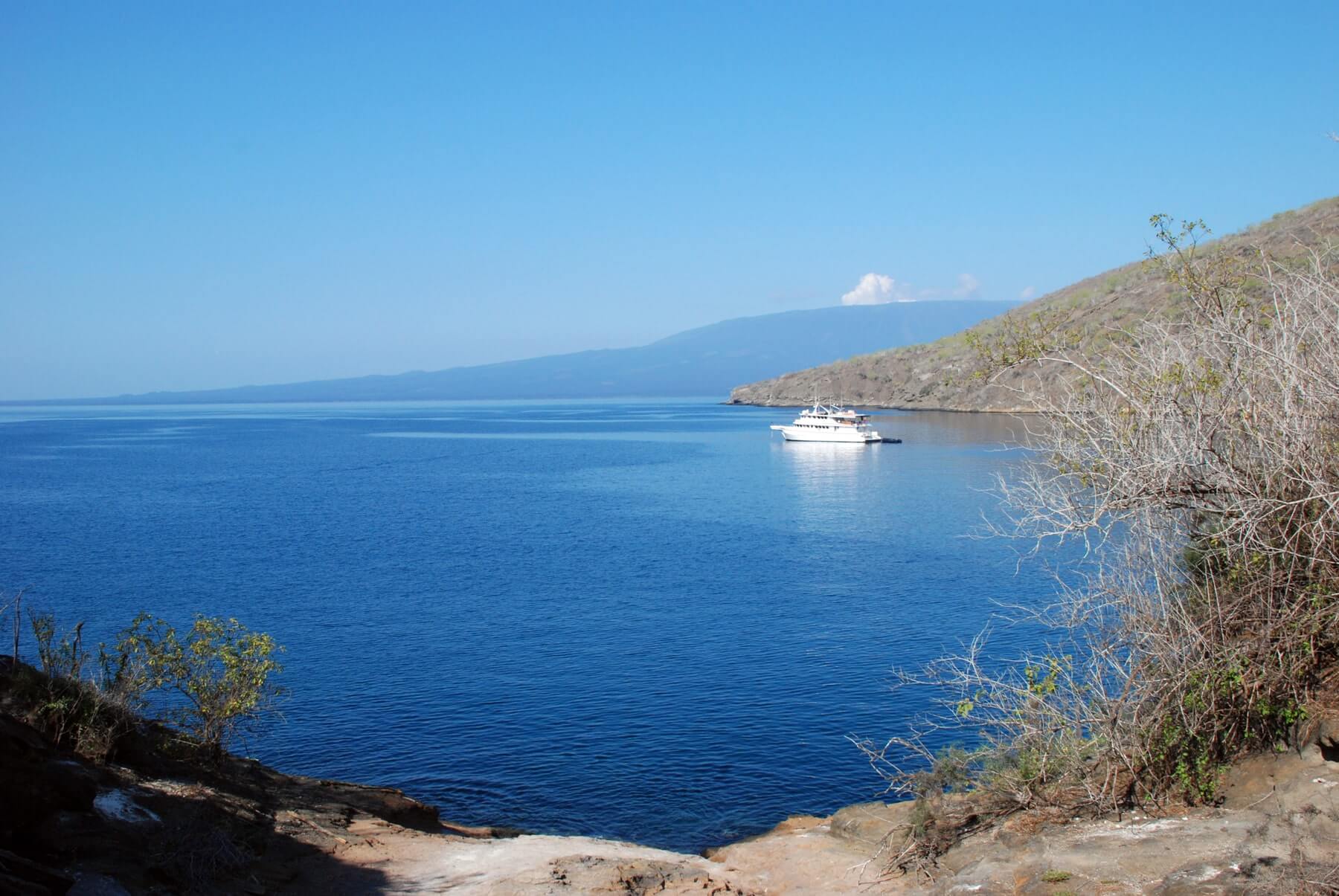 Galapagos-Tagus-Cove
