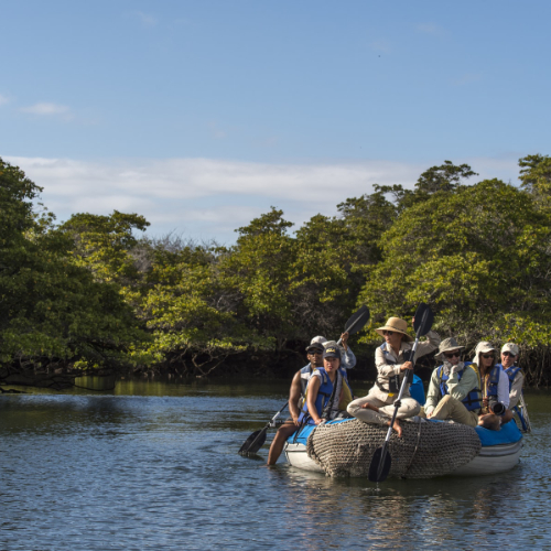 Galapagos Zodiac Rides Turtle Cove