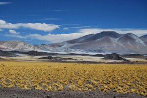 Argentina puna high plains