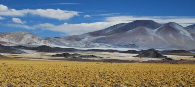 Argentina puna high plains