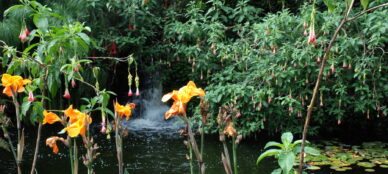 Quito botanic gardens