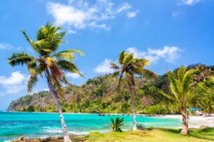 Beach Babylon