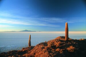 Uyuni Fish Island